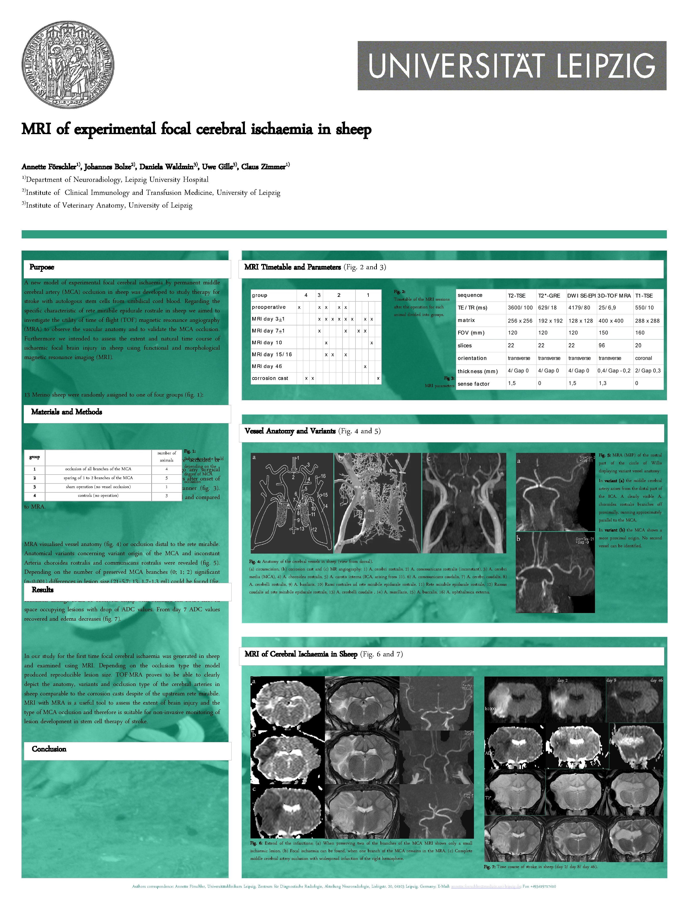 MRI of experimental focal cerebral ischaemia in sheep Annette Förschler 1), Johannes Bolze 2),