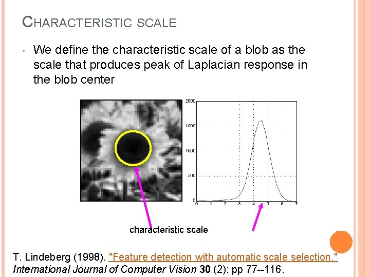 CHARACTERISTIC SCALE • We define the characteristic scale of a blob as the scale