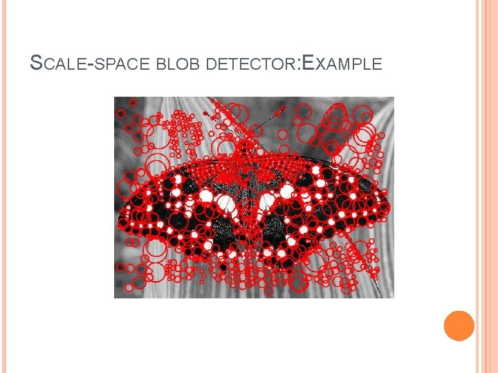 SCALE-SPACE BLOB DETECTOR: EXAMPLE 