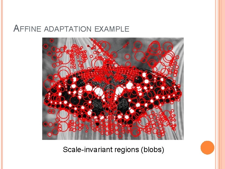 AFFINE ADAPTATION EXAMPLE Scale-invariant regions (blobs) 