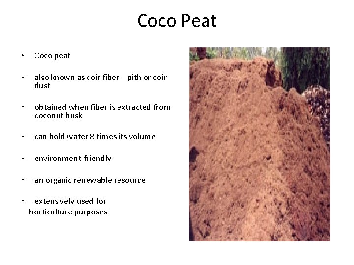 Coco Peat • Coco peat - also known as coir fiber pith or coir