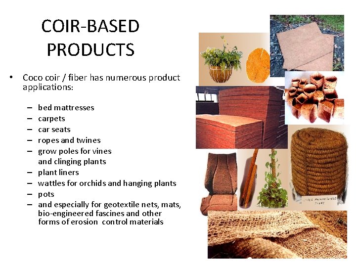 COIR-BASED PRODUCTS • Coco coir / fiber has numerous product applications: – – –