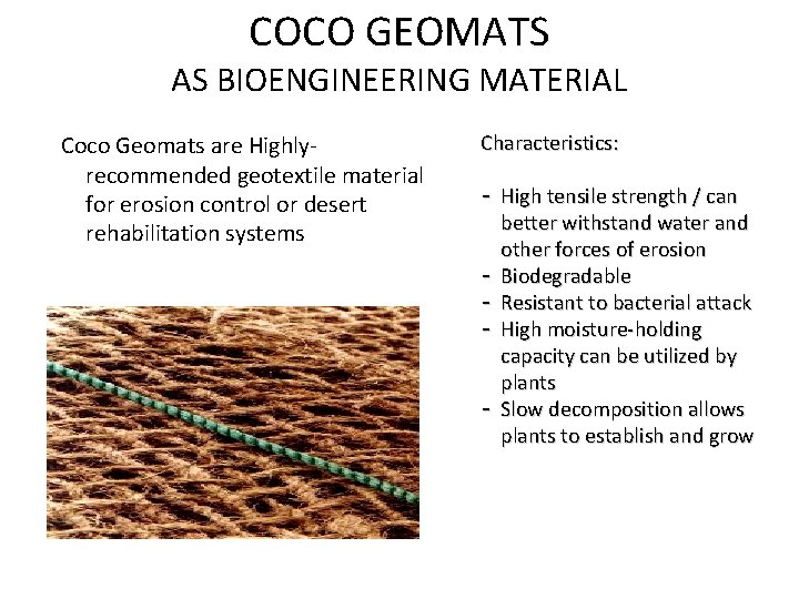 COCO GEOMATS AS BIOENGINEERING MATERIAL Coco Geomats are Highlyrecommended geotextile material for erosion control