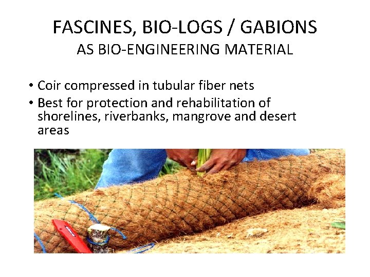 FASCINES, BIO-LOGS / GABIONS AS BIO-ENGINEERING MATERIAL • Coir compressed in tubular fiber nets