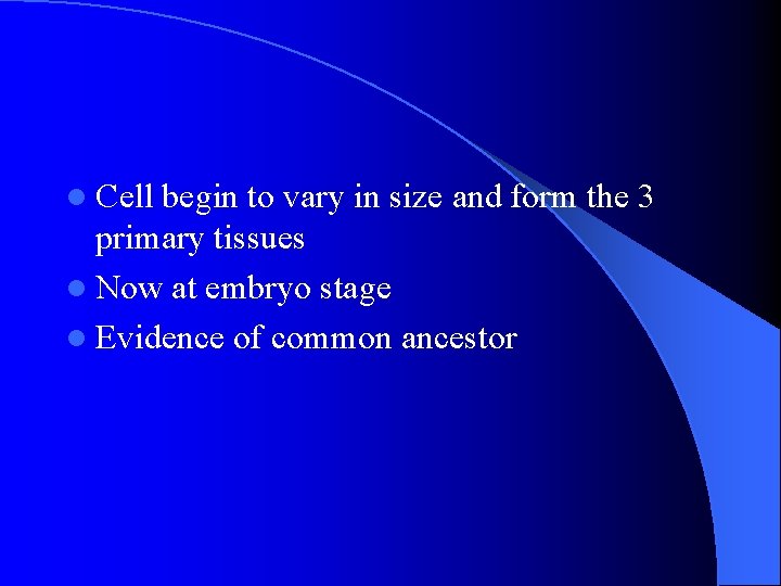 l Cell begin to vary in size and form the 3 primary tissues l l Cell begin to vary in size and form the 3 primary tissues l