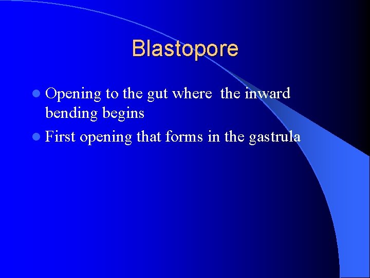 Blastopore l Opening to the gut where the inward bending begins l First opening Blastopore l Opening to the gut where the inward bending begins l First opening