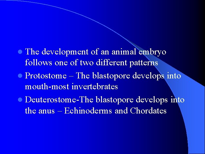 l The development of an animal embryo follows one of two different patterns l l The development of an animal embryo follows one of two different patterns l