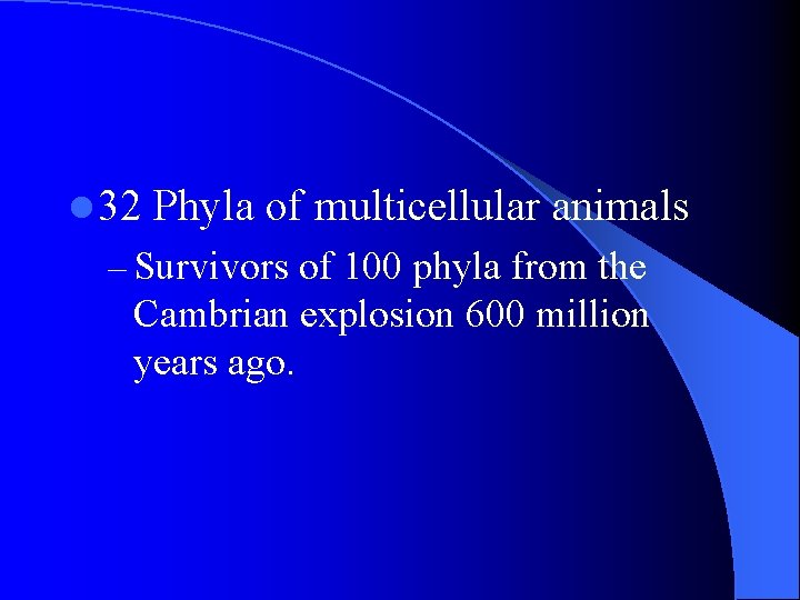 l 32 Phyla of multicellular animals – Survivors of 100 phyla from the Cambrian l 32 Phyla of multicellular animals – Survivors of 100 phyla from the Cambrian