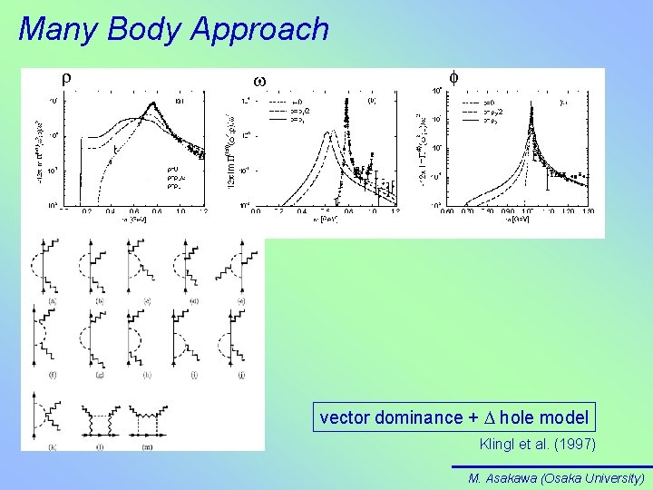 Many Body Approach vector dominance + D hole model Klingl et al. (1997) M.