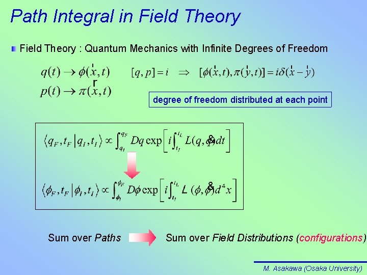 Path Integral in Field Theory : Quantum Mechanics with Infinite Degrees of Freedom degree