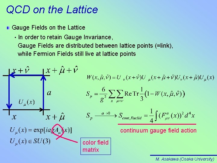 QCD on the Lattice Gauge Fields on the Lattice • In order to retain