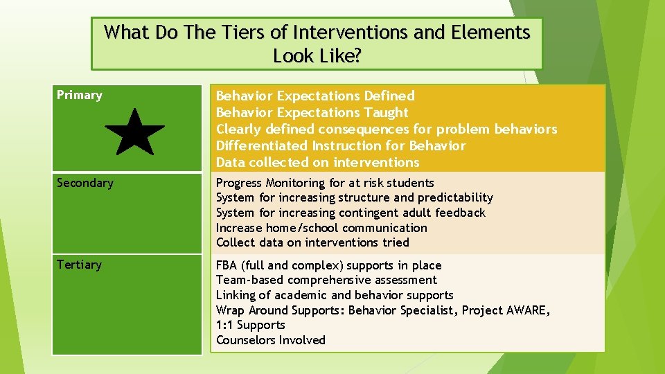 What Do The Tiers of Interventions and Elements Look Like? Primary Behavior Expectations Defined