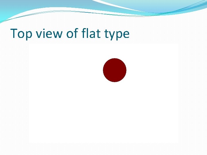 Top view of flat type 