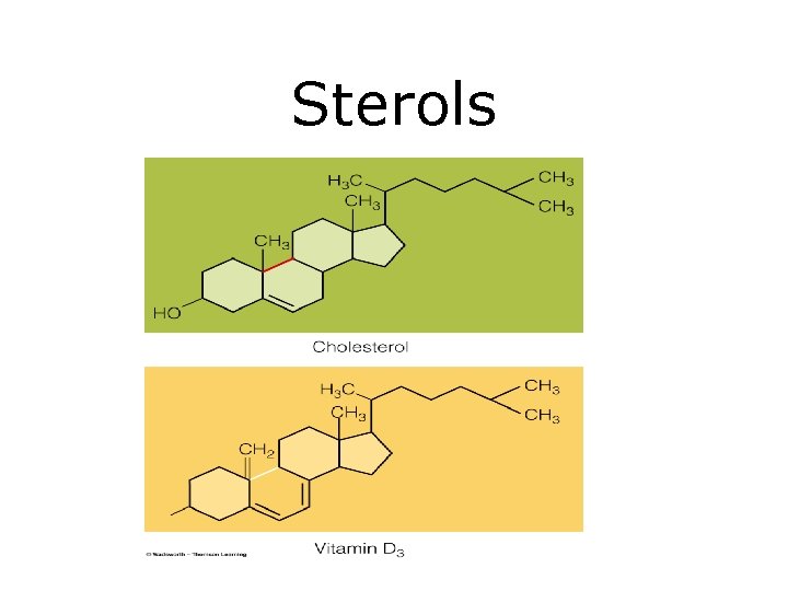 Sterols 