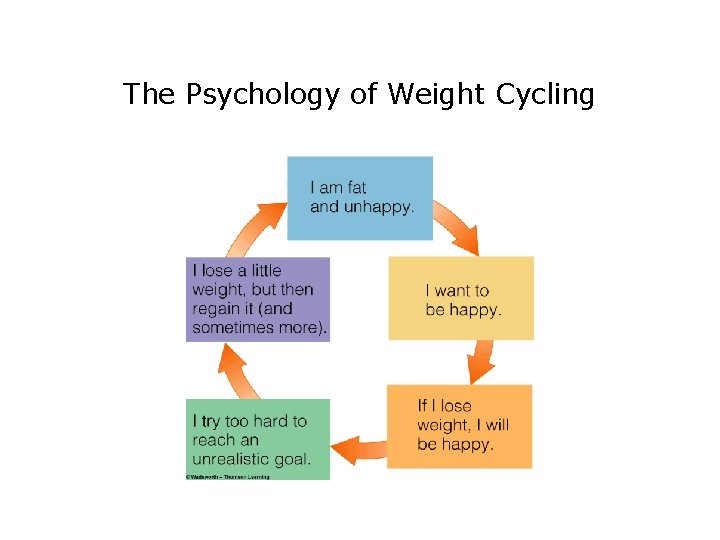 The Psychology of Weight Cycling 