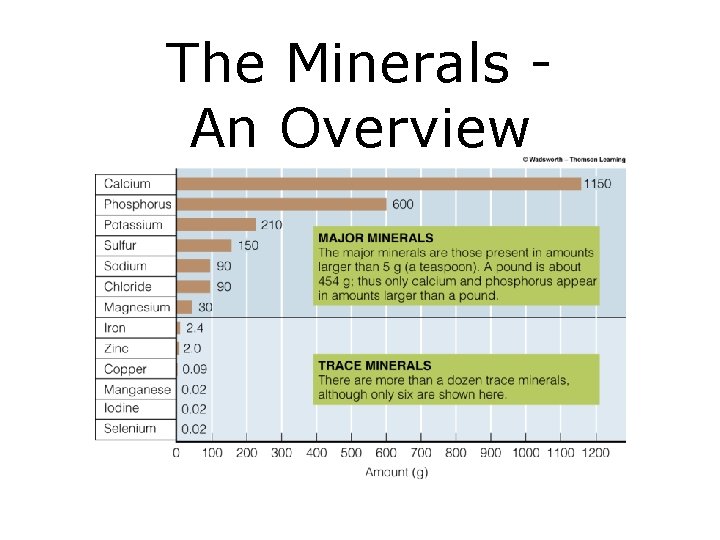 The Minerals An Overview 