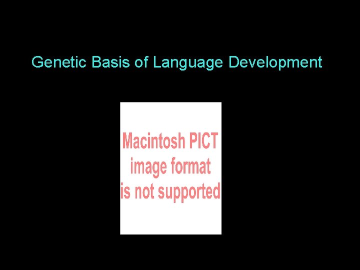 Genetic Basis of Language Development 