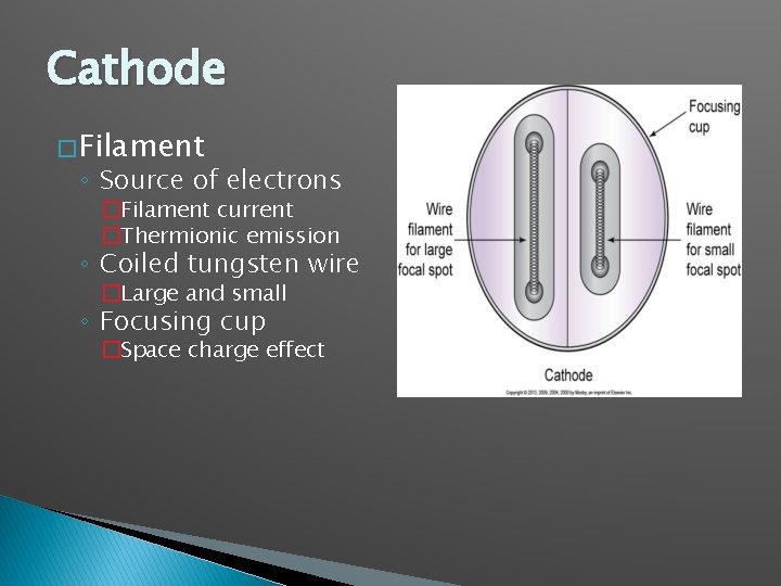 Cathode � Filament ◦ Source of electrons �Filament current �Thermionic emission ◦ Coiled tungsten