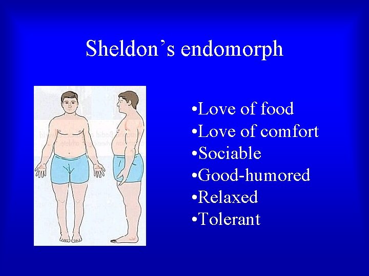 Sheldon’s endomorph • Love of food • Love of comfort • Sociable • Good-humored