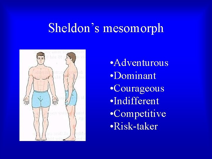 Sheldon’s mesomorph • Adventurous • Dominant • Courageous • Indifferent • Competitive • Risk-taker