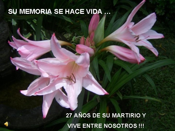 SU MEMORIA SE HACE VIDA … 27 AÑOS DE SU MARTIRIO Y VIVE ENTRE