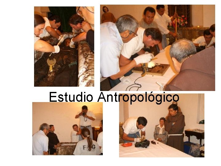 Estudio Antropológico 