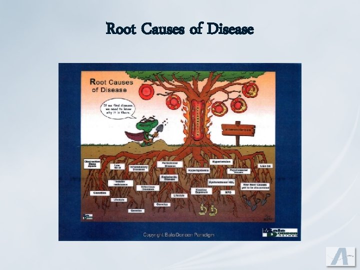 Root Causes of Disease 