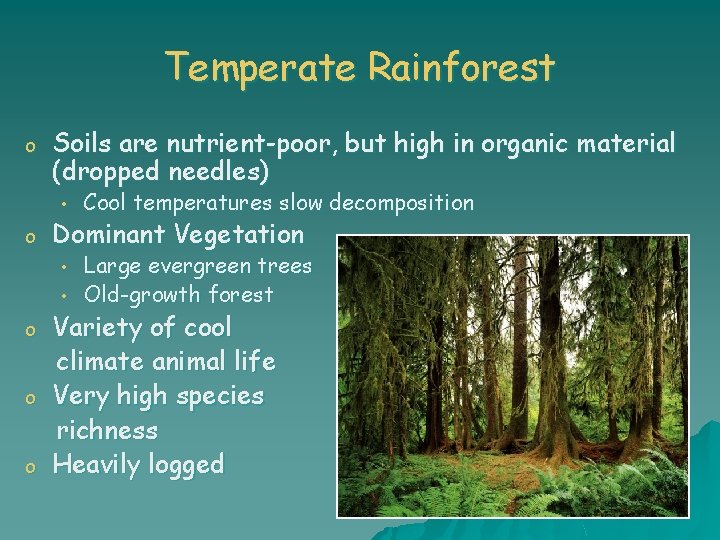 Temperate Rainforest o Soils are nutrient-poor, but high in organic material (dropped needles) •