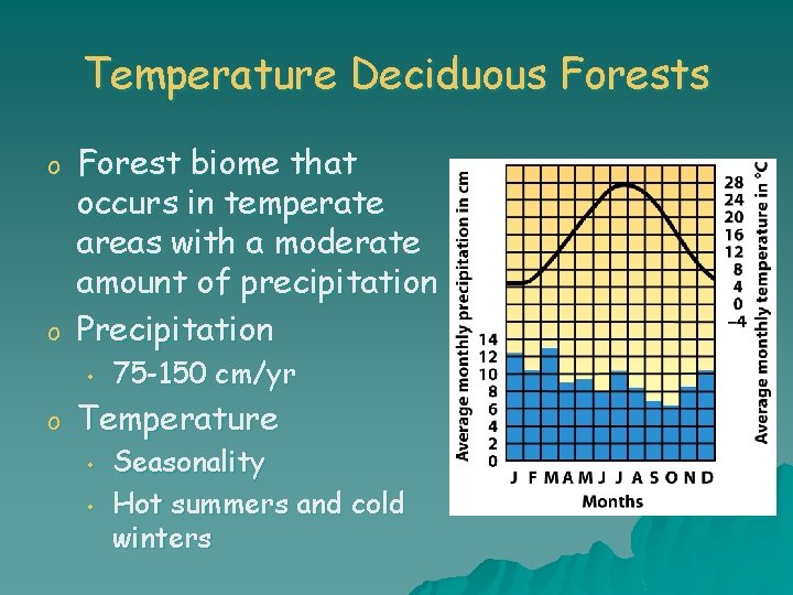 Temperature Deciduous Forests o o Forest biome that occurs in temperate areas with a