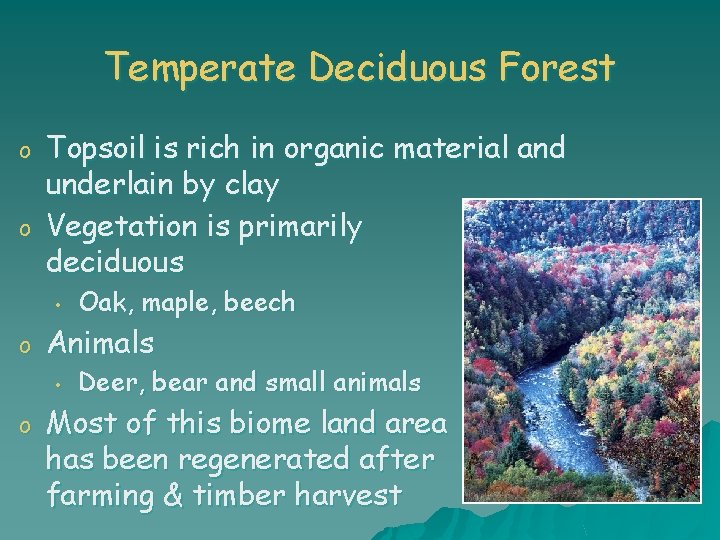 Temperate Deciduous Forest o o Topsoil is rich in organic material and underlain by