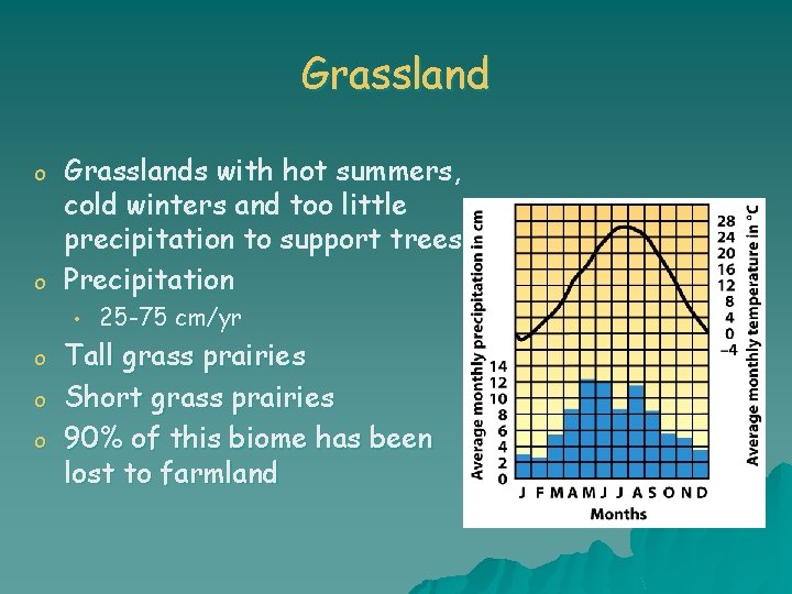 Grassland o o Grasslands with hot summers, cold winters and too little precipitation to