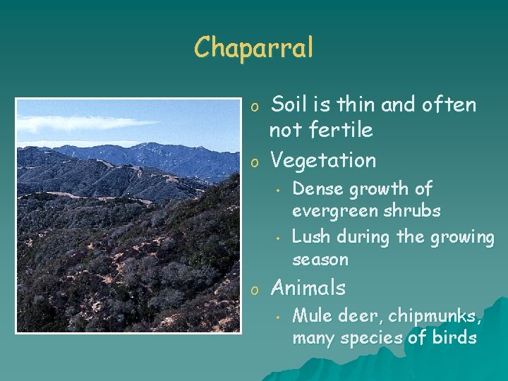 Chaparral o o Soil is thin and often not fertile Vegetation • • o