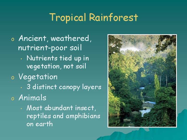 Tropical Rainforest o Ancient, weathered, nutrient-poor soil • o Vegetation • o Nutrients tied