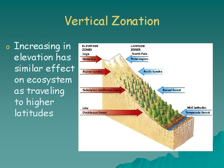 Vertical Zonation o Increasing in elevation has similar effect on ecosystem as traveling to