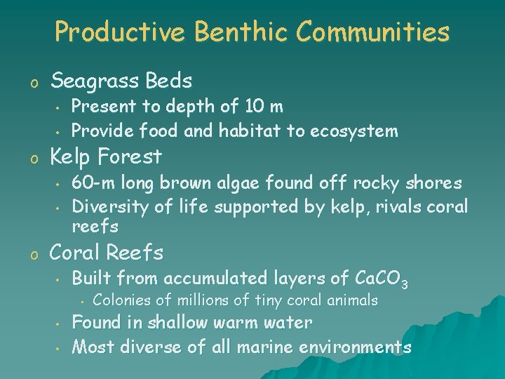 Productive Benthic Communities o Seagrass Beds • • o Kelp Forest • • o