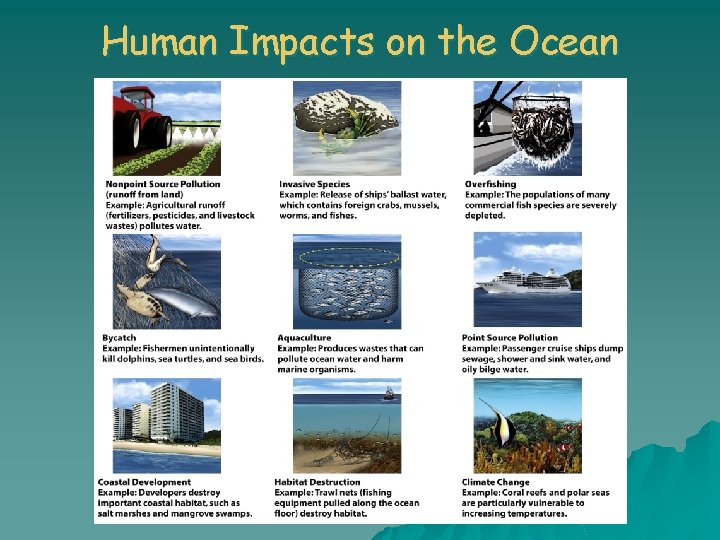 Human Impacts on the Ocean 