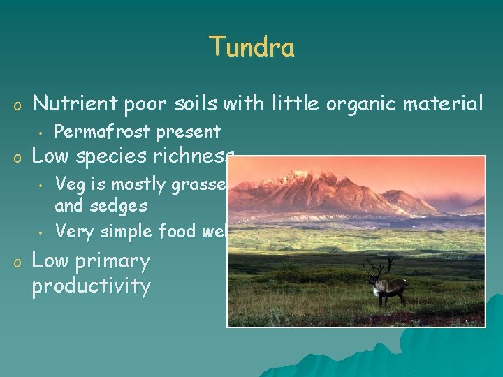Tundra o Nutrient poor soils with little organic material • o Low species richness
