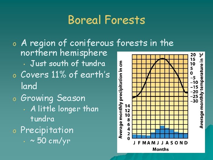 Boreal Forests o A region of coniferous forests in the northern hemisphere • o