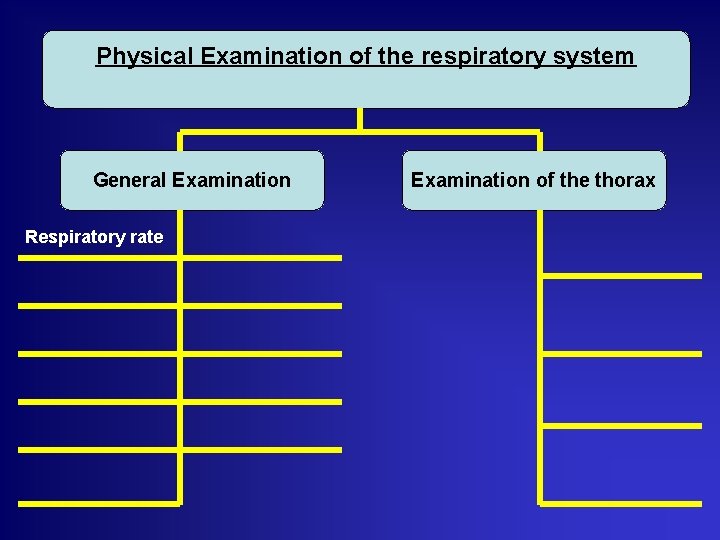 Physical Examination of the respiratory system General Examination Respiratory rate Examination of the thorax