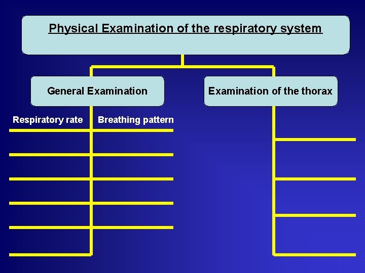 Physical Examination of the respiratory system General Examination Respiratory rate Breathing pattern Examination of