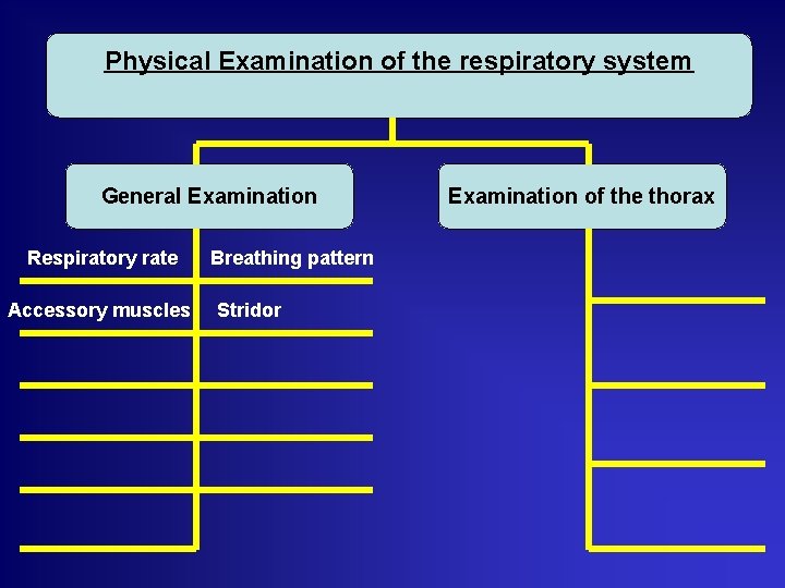 Physical Examination of the respiratory system General Examination Respiratory rate Accessory muscles Breathing pattern