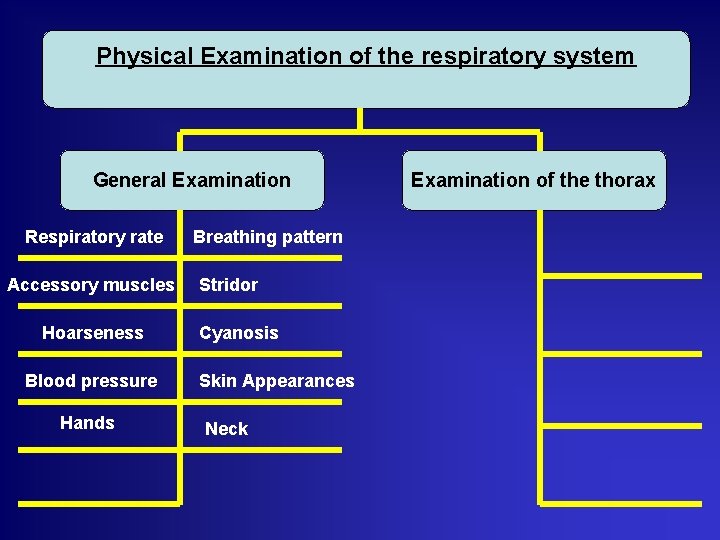 Physical Examination of the respiratory system General Examination Respiratory rate Accessory muscles Hoarseness Blood