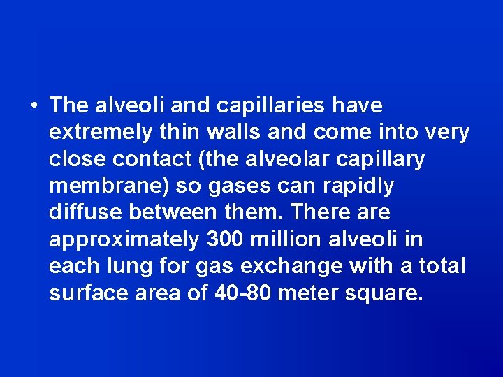  • The alveoli and capillaries have extremely thin walls and come into very