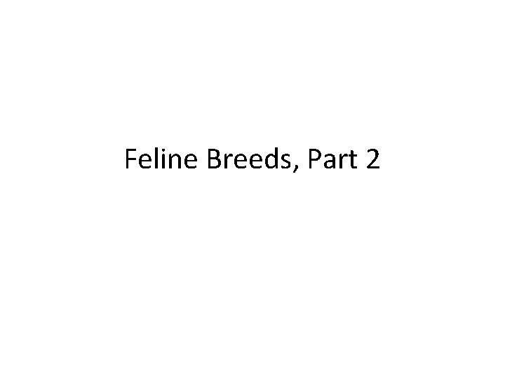 Feline Breeds, Part 2 