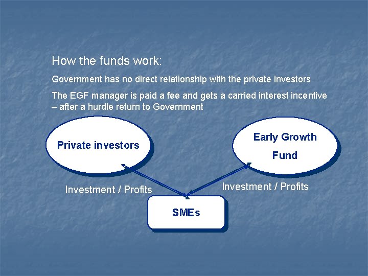 How the funds work: Government has no direct relationship with the private investors The