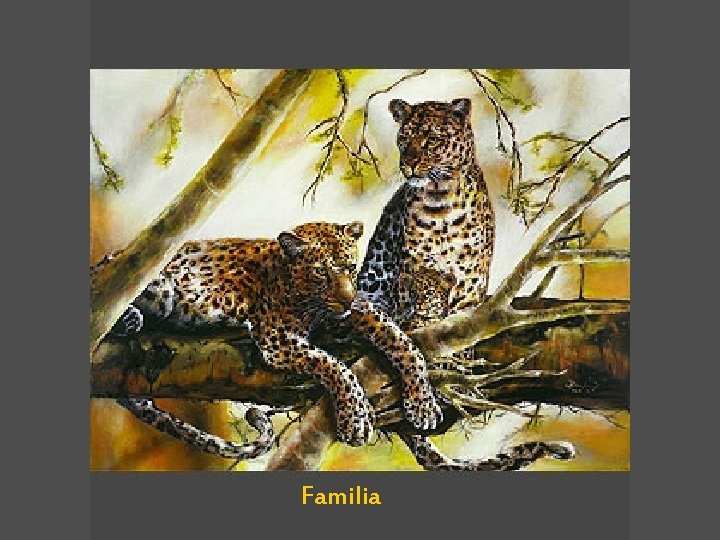 Familia 