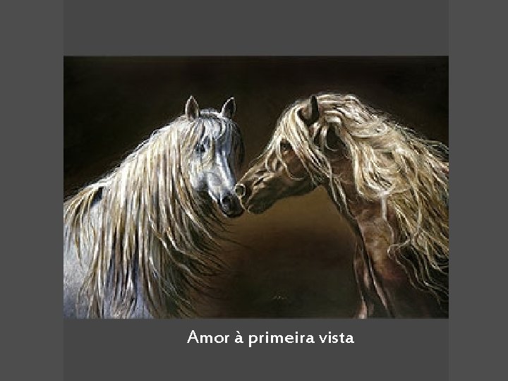 Amor à primeira vista 