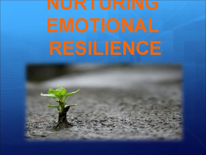 NURTURING EMOTIONAL RESILIENCE 