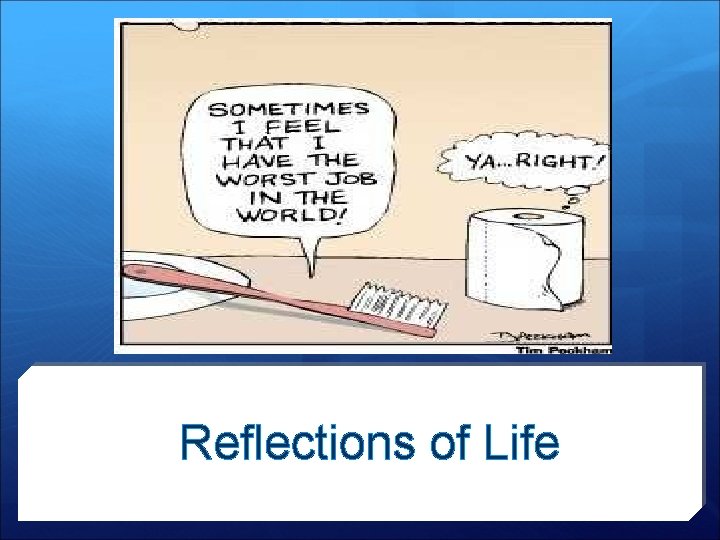 Reflections of Life 
