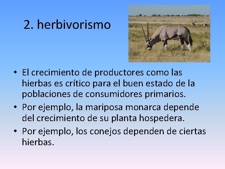 2. herbivorismo • El crecimiento de productores como las hierbas es crítico para el